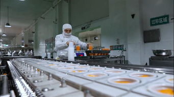 果秀食品 以生物基材料技術(shù)研發(fā)為引擎，開啟創(chuàng)新轉(zhuǎn)型新征程，再鑄“新果秀”輝煌