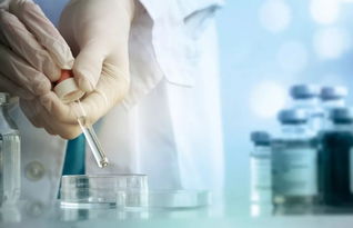 動(dòng)物來源藥用輔料質(zhì)量控制與生物基材料研發(fā)